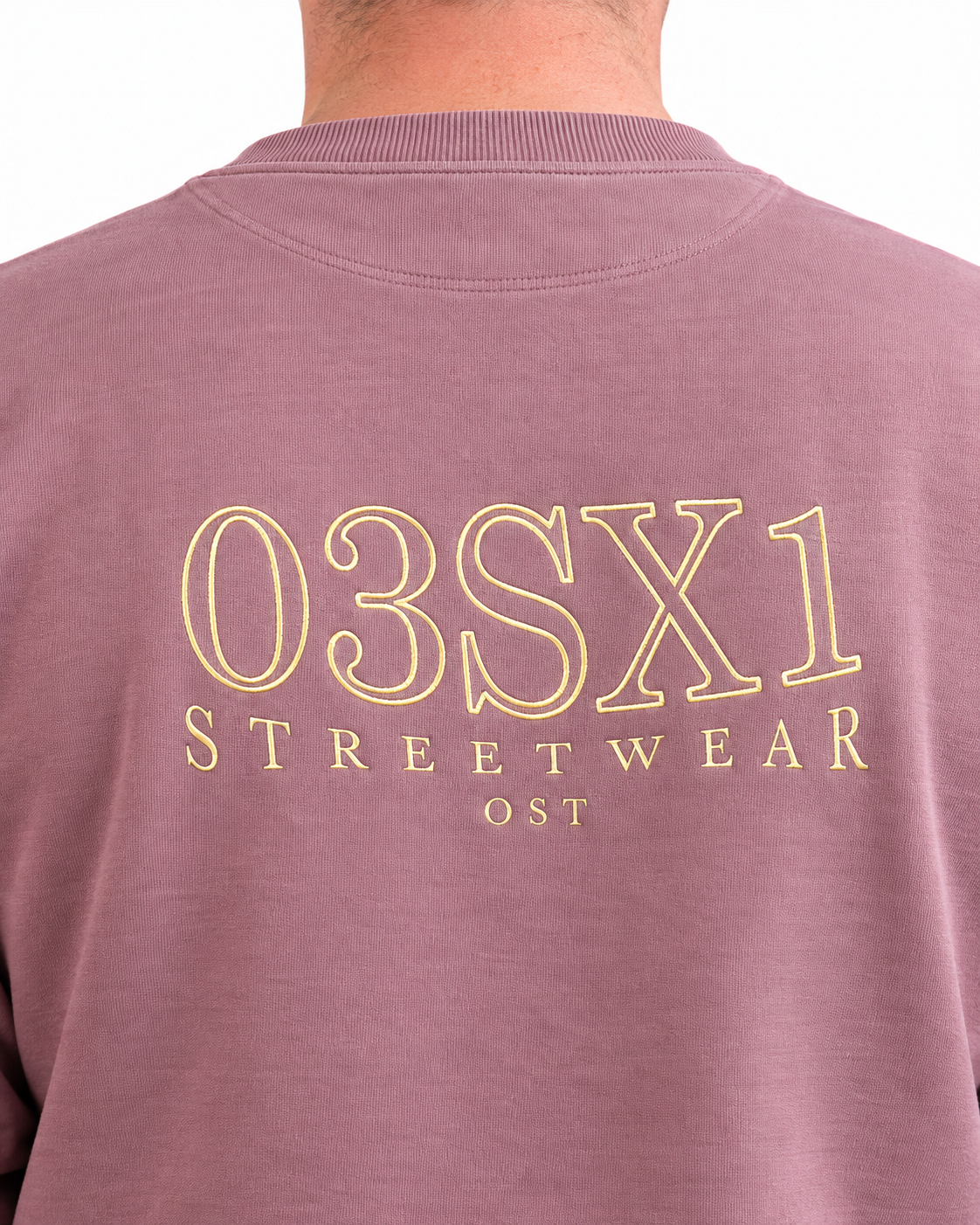 Pullover 03SX1 Alt-Rosa Rückenstick